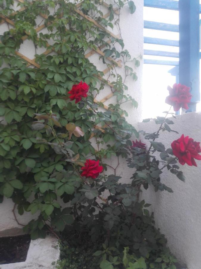 Poros Town Rania Studios المظهر الخارجي الصورة